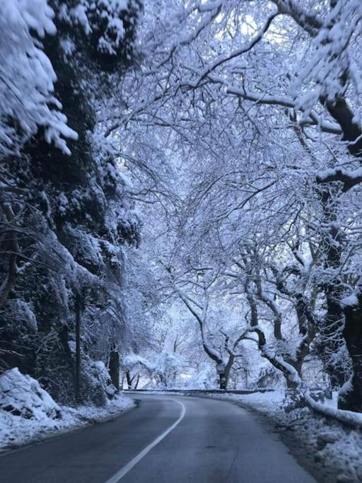 Χαίρε, Ξεΐνε, Παρ' Αμμι Φιλησεαι Daire Tríkala Dış mekan fotoğraf